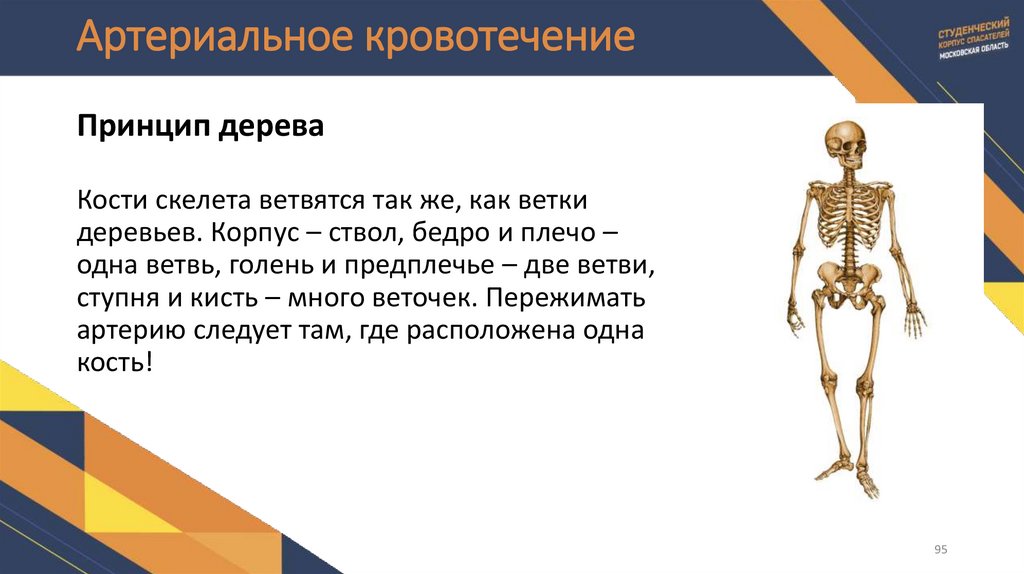 Артериальное кровотечение