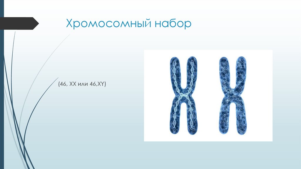 Хромосомный набор