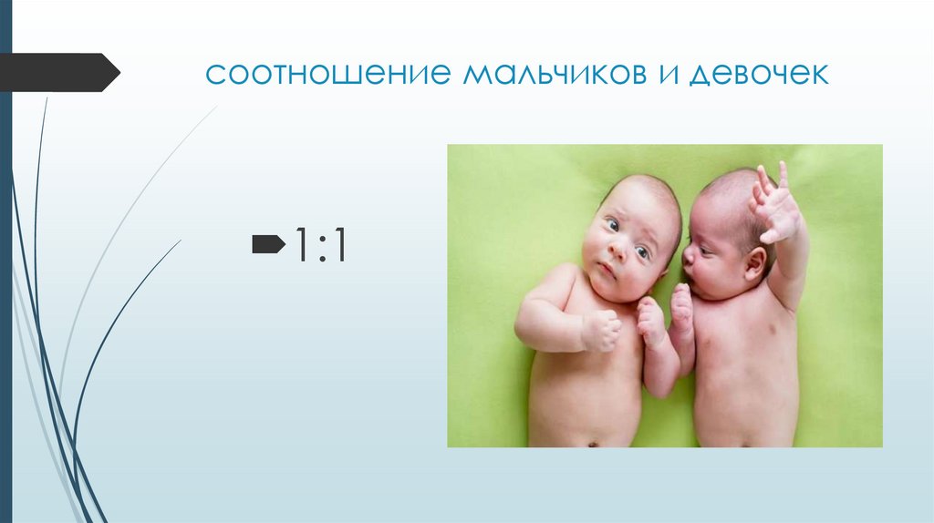 соотношение мальчиков и девочек