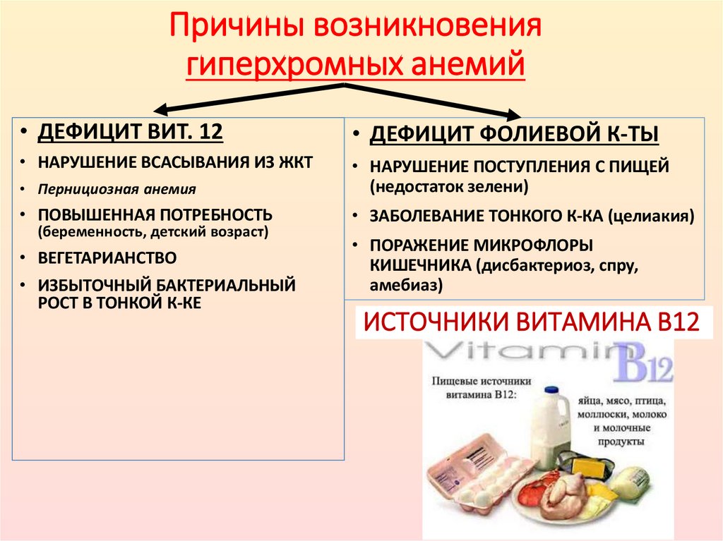 Причины возникновения гиперхромных анемий