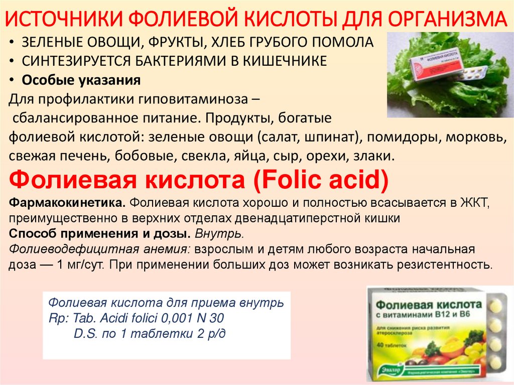 ИСТОЧНИКИ ФОЛИЕВОЙ КИСЛОТЫ ДЛЯ ОРГАНИЗМА