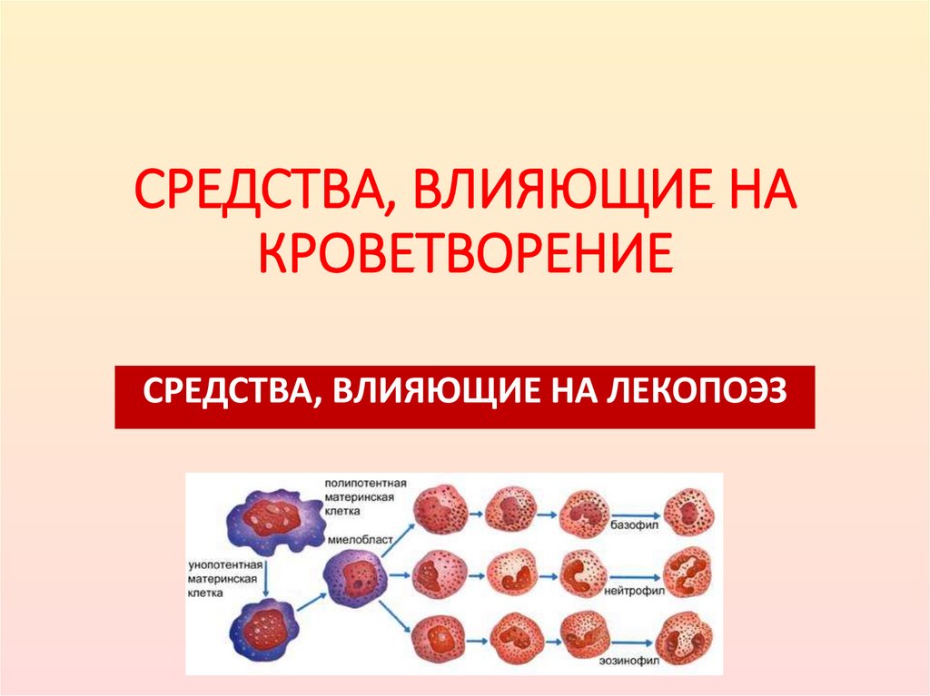 СРЕДСТВА, ВЛИЯЮЩИЕ НА КРОВЕТВОРЕНИЕ