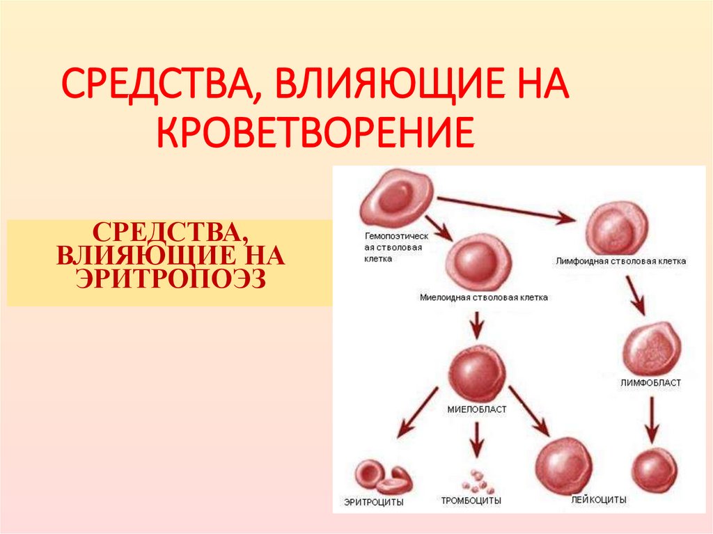 СРЕДСТВА, ВЛИЯЮЩИЕ НА КРОВЕТВОРЕНИЕ
