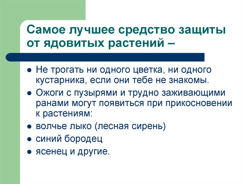 Самое лучшее средство защиты от ядовитых растений –