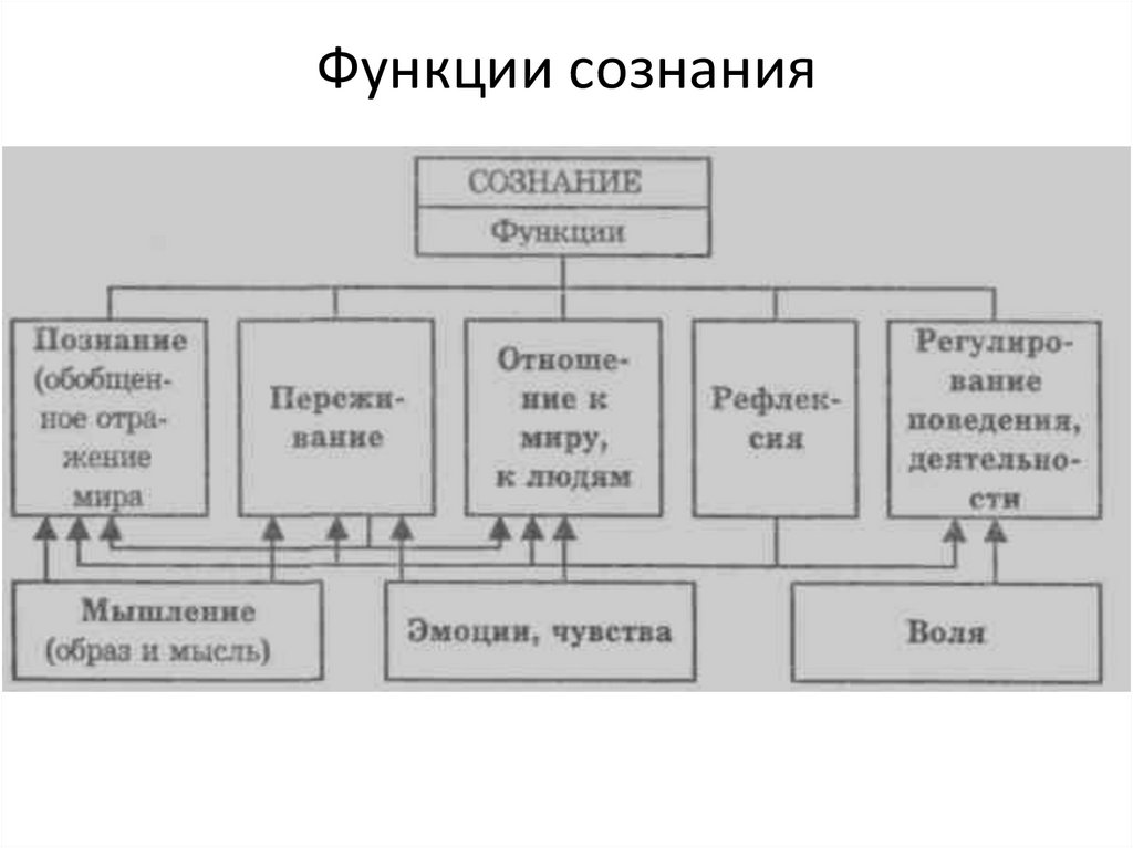Функции сознания