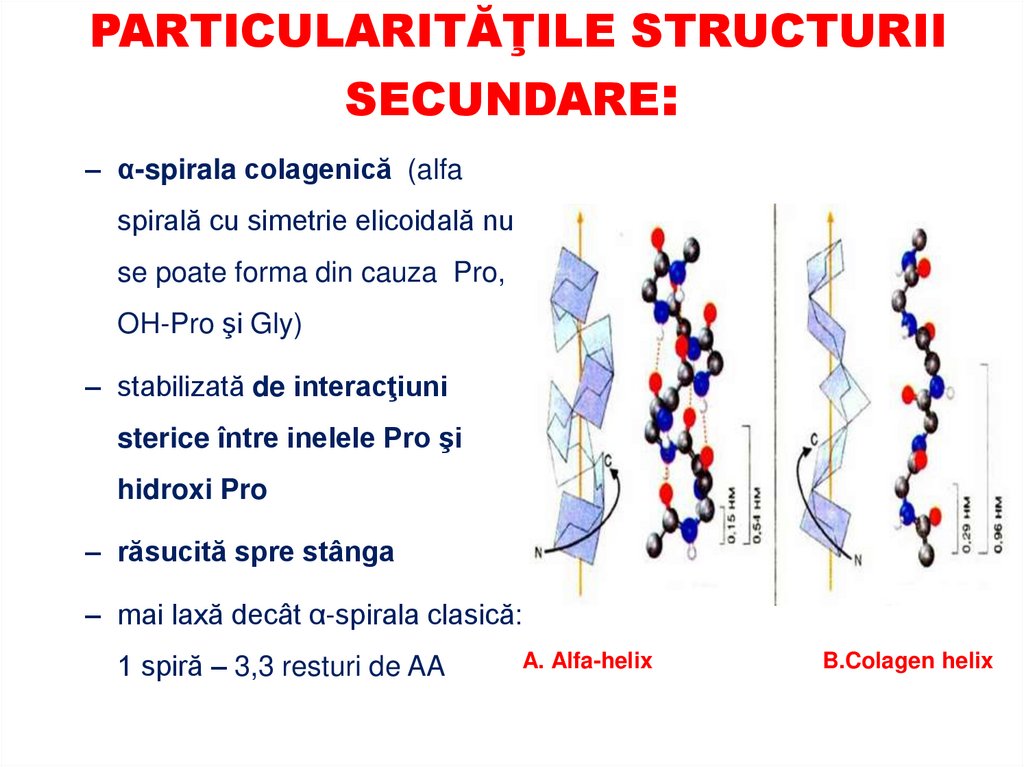 PARTICULARITĂŢI STRUCTURALE: