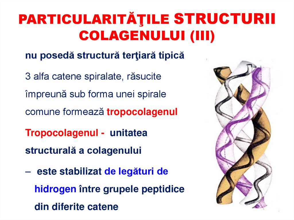 (STRUCTURA PRIMARĂ A COLAGENULUI: