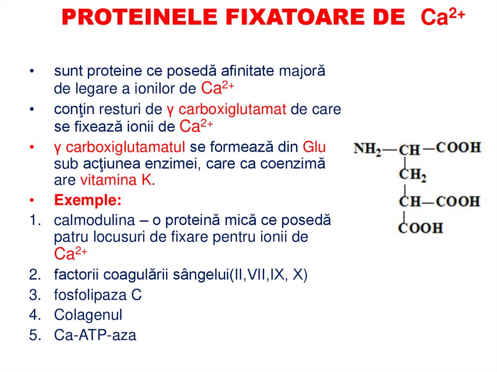 Glicoproteinele – proteine + glucidică (glucozamină, galactozamină, a. hialuronic, glucozaminglicani)