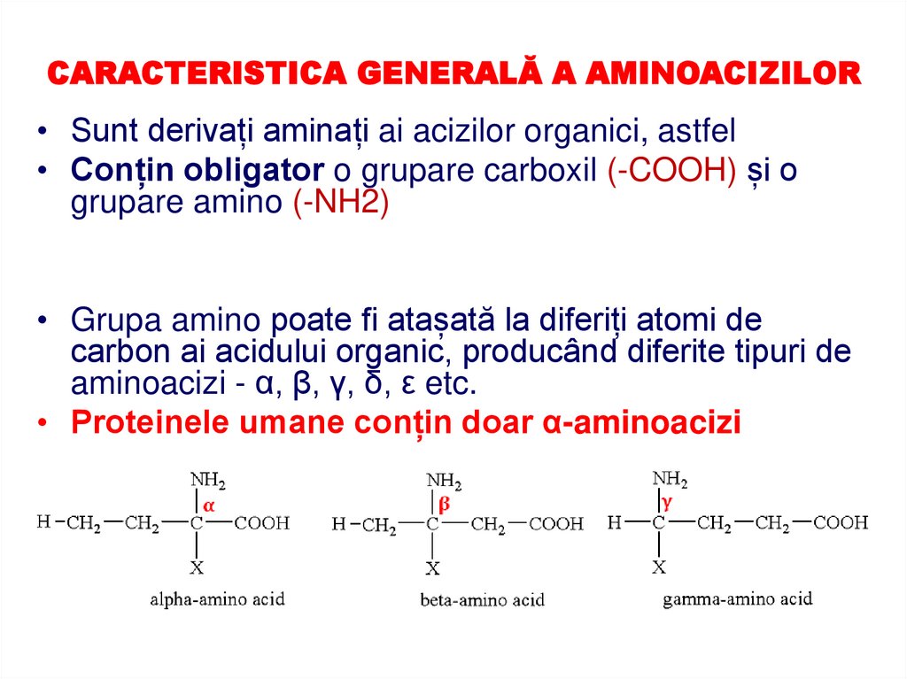 CARACTERISTICA GENERALĂ A AMINOACIZILOR