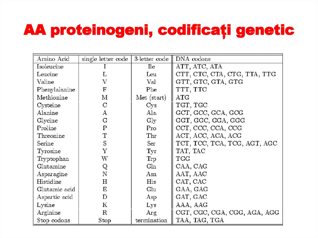 AA proteinogeni, codificați genetic