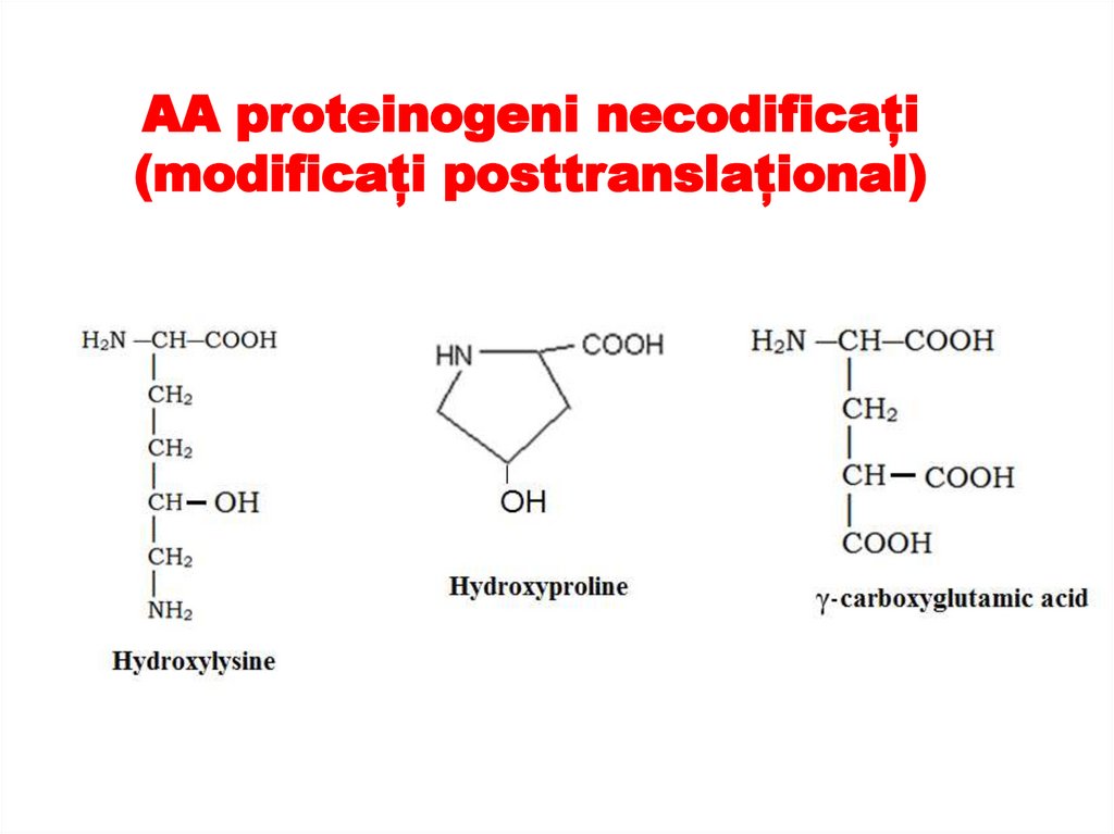 AA proteinogeni necodificați (modificați posttranslațional)