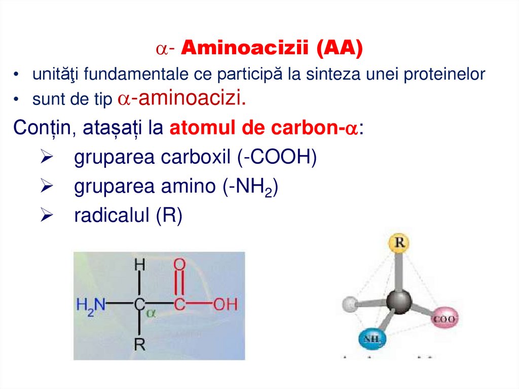 - Aminoacizii (AA)