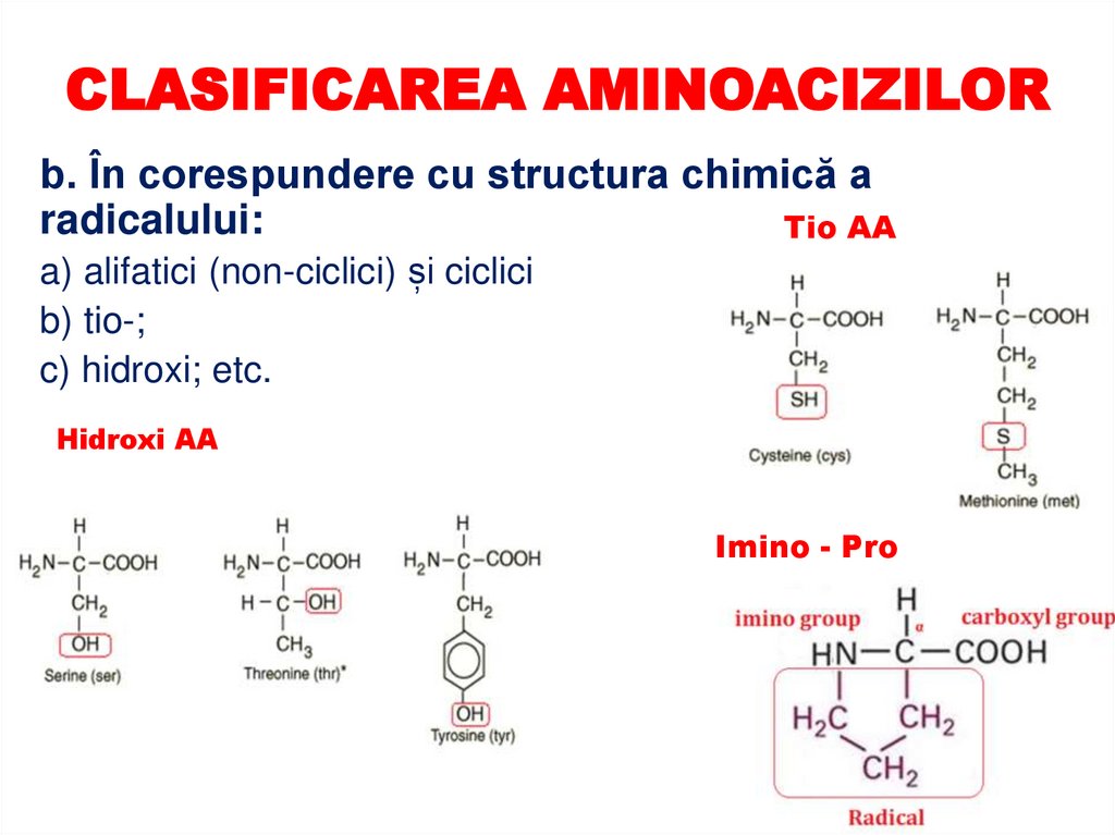 CLASIFICAREA AMINOACIZILOR
