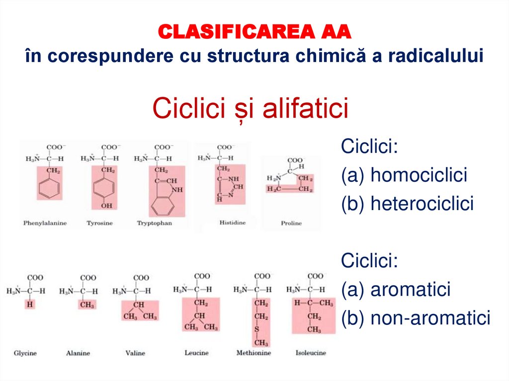 CLASIFICAREA AA în corespundere cu structura chimică a radicalului