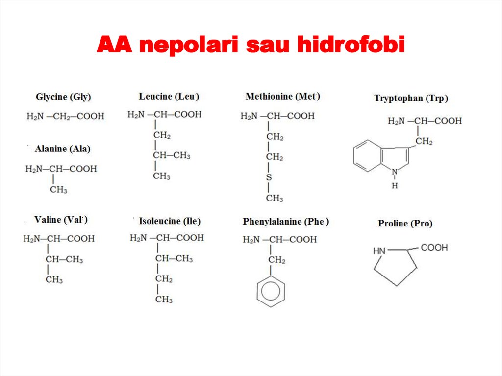 AA nepolari sau hidrofobi