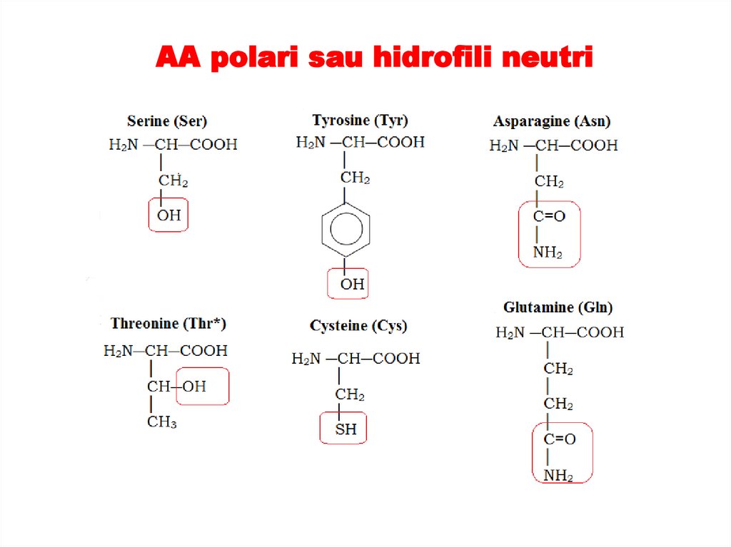 AA polari sau hidrofili neutri