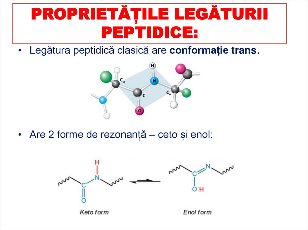 PEPTIDE ȘI PROTEINE