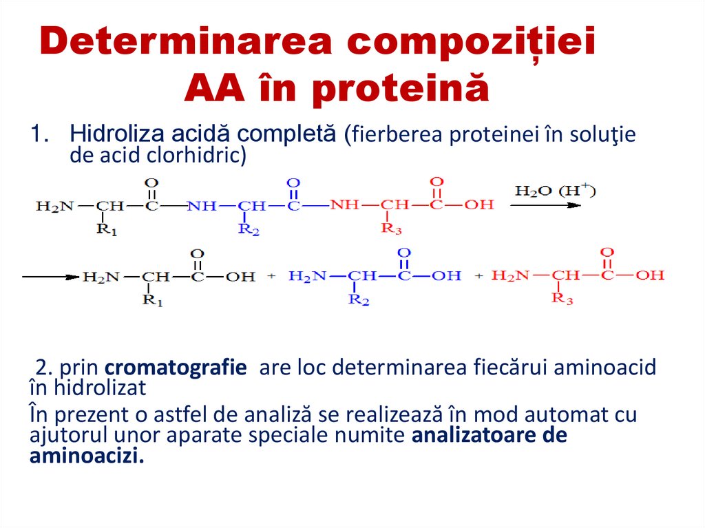 IMPORTANȚA CLINICĂ A STRUCTURII PRIMARE ANEMIA FALCIFORMĂ SAU CU CELULE ÎN FORMĂ DE SECERĂ