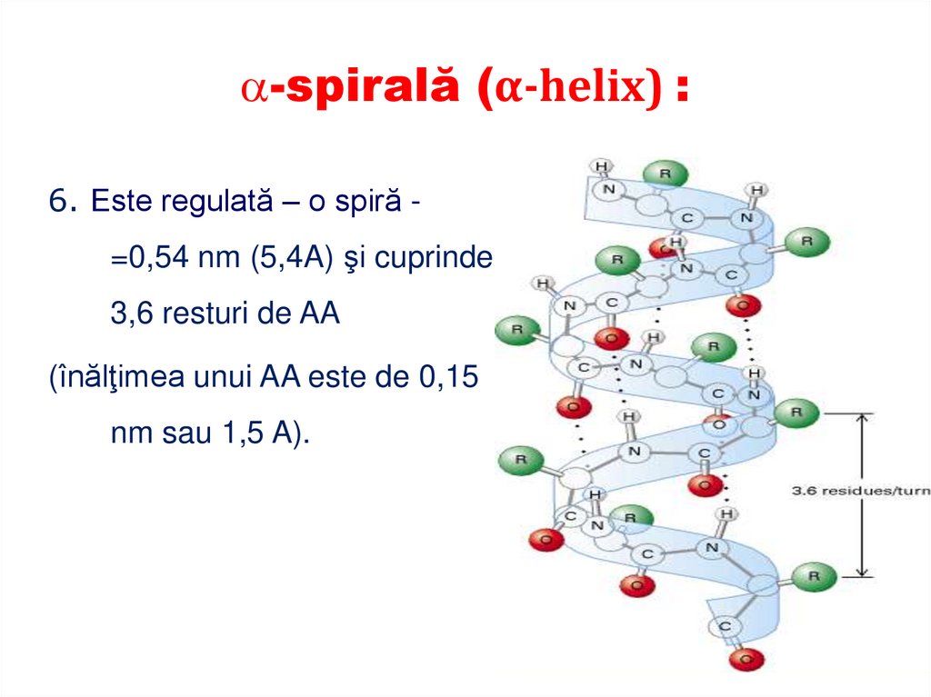 STRUCTURA SECUNDARĂ