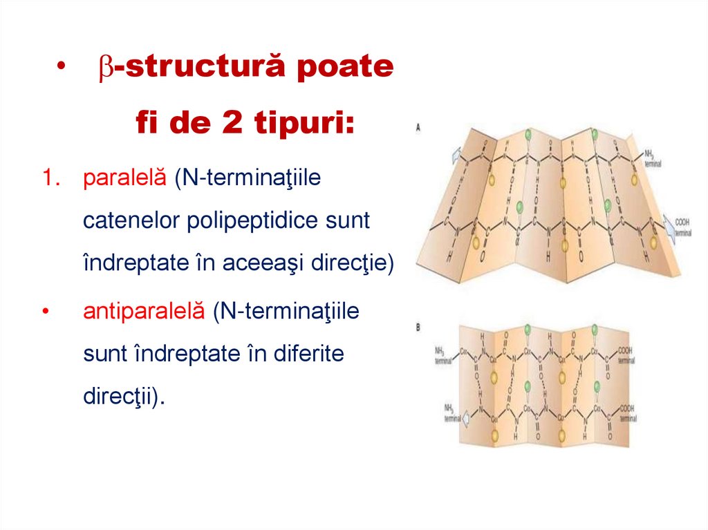 AA CE DIMINUIEAZĂ FORMAREA ELICEI: