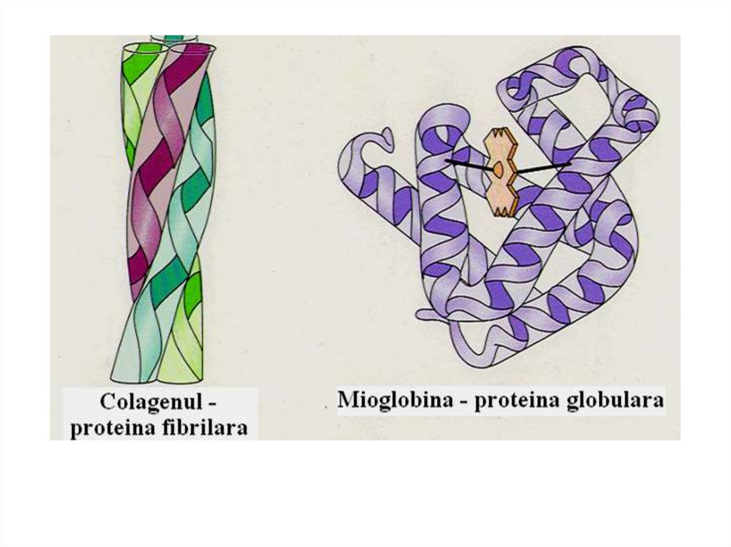 DEOSEBIRILE DE ALFA SPIRALĂ: