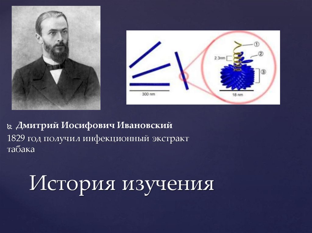 История изучения