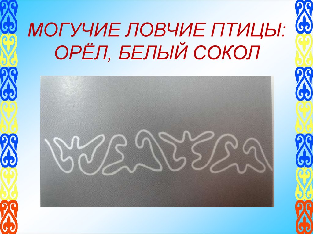 МОГУЧИЕ ЛОВЧИЕ ПТИЦЫ: ОРЁЛ, БЕЛЫЙ СОКОЛ