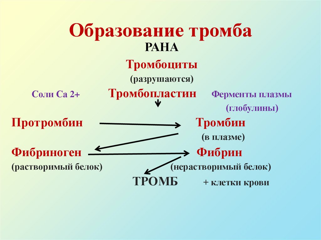 Образование тромба