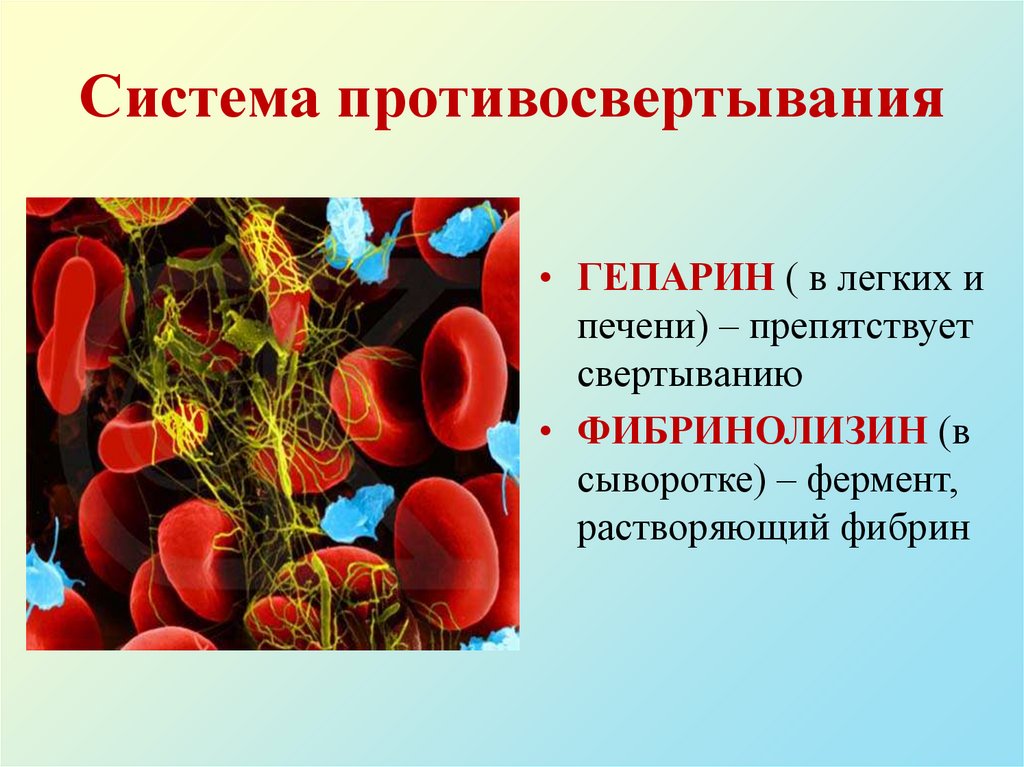 Система противосвертывания