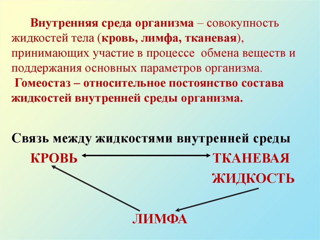 Внутренняя среда организма – совокупность жидкостей тела (кровь, лимфа, тканевая), принимающих участие в процессе обмена