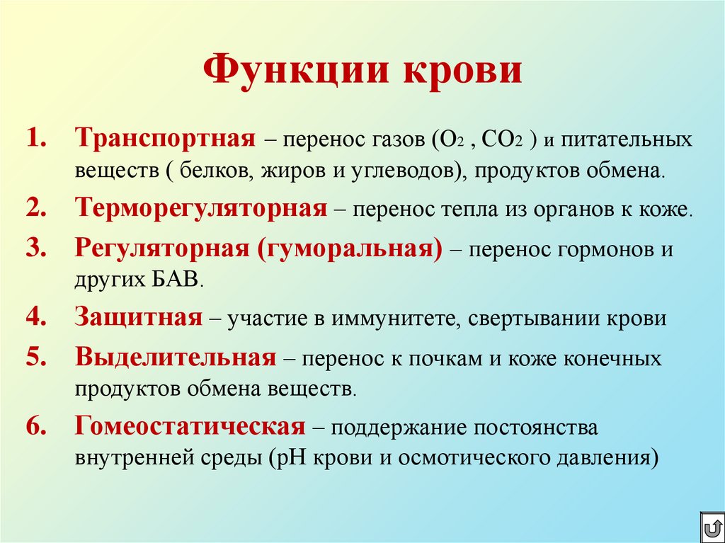 Функции крови