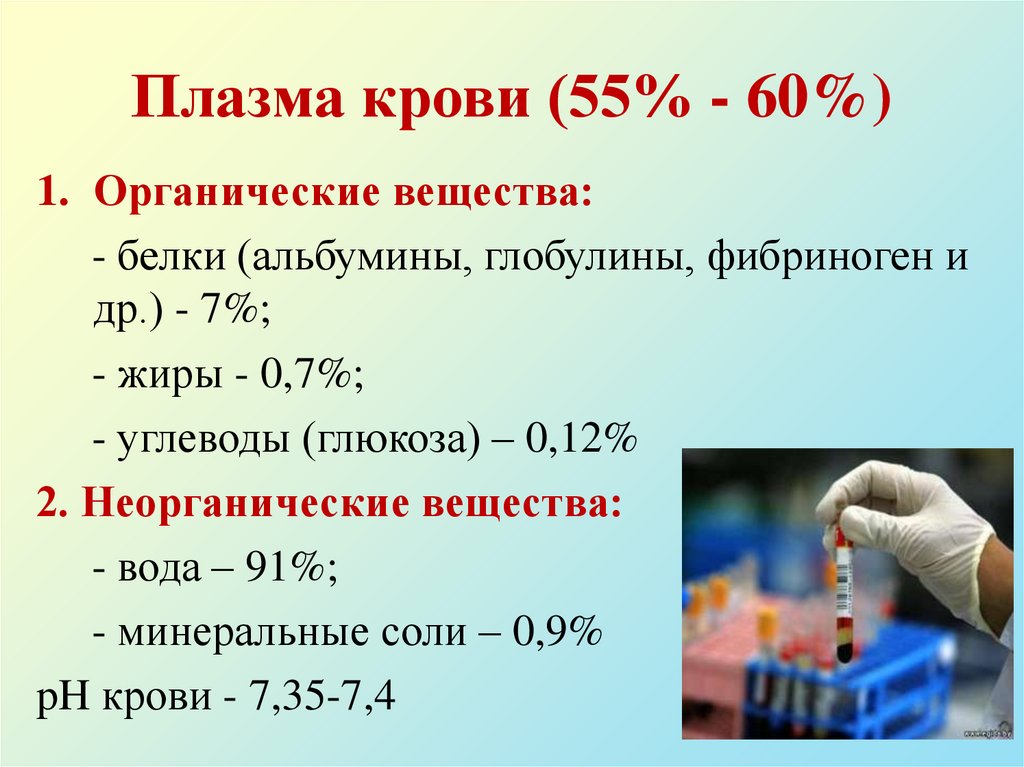 Плазма крови (55% - 60%)