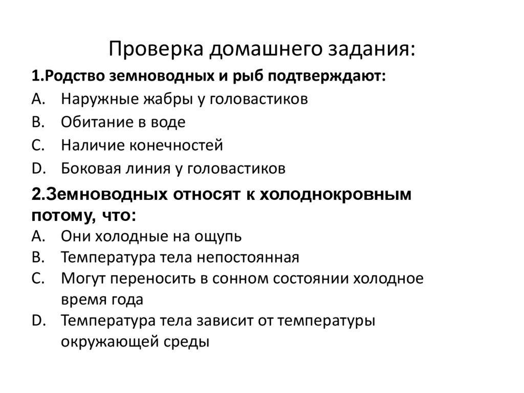 Проверка домашнего задания: