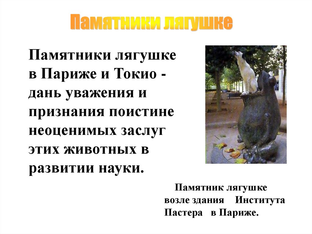 Памятники лягушке