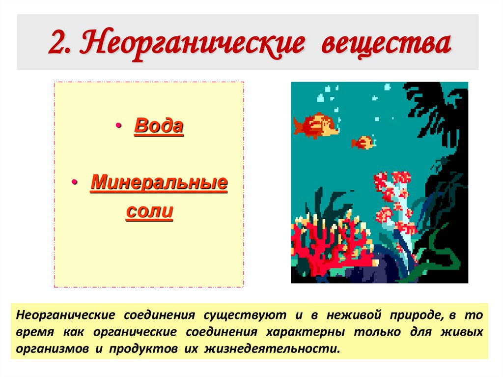 2. Неорганические вещества