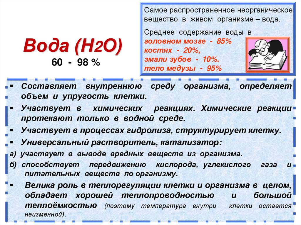 Вода (Н2О) 60 - 98 %
