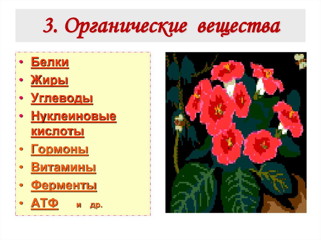 3. Органические вещества