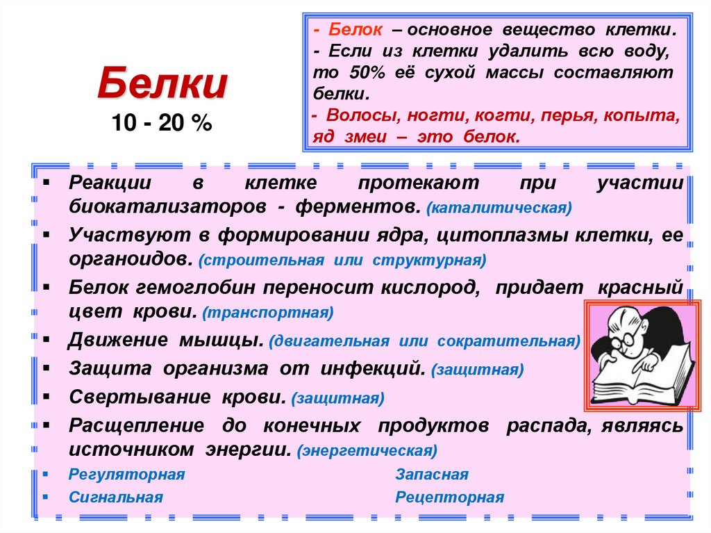Белки 10 - 20 %