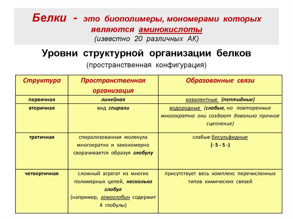 Белки - это биополимеры, мономерами которых являются аминокислоты (известно 20 различных АК)