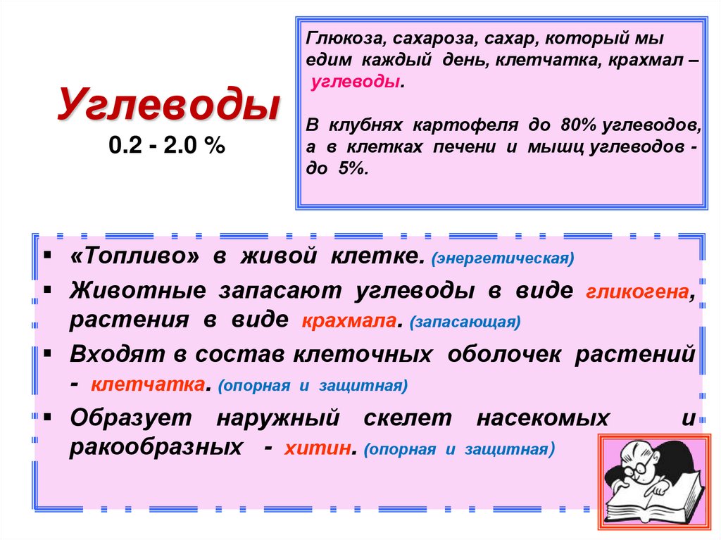 Углеводы 0.2 - 2.0 %