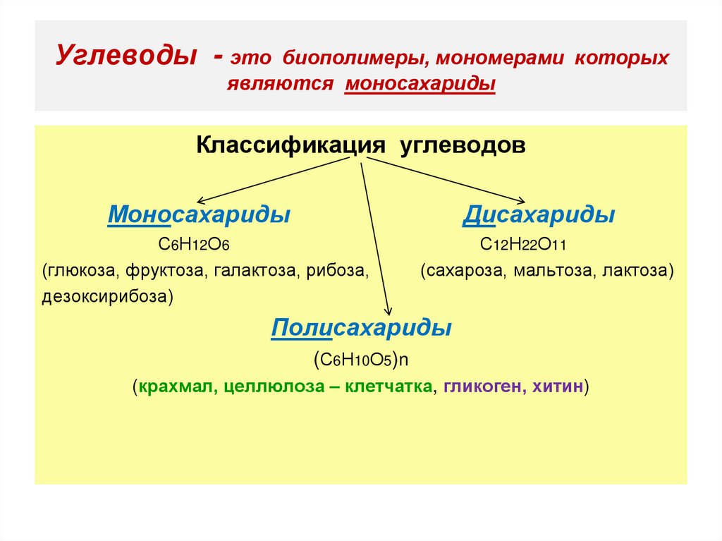 Углеводы - это биополимеры, мономерами которых являются моносахариды