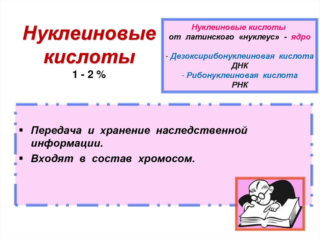 Нуклеиновые кислоты 1 - 2 %