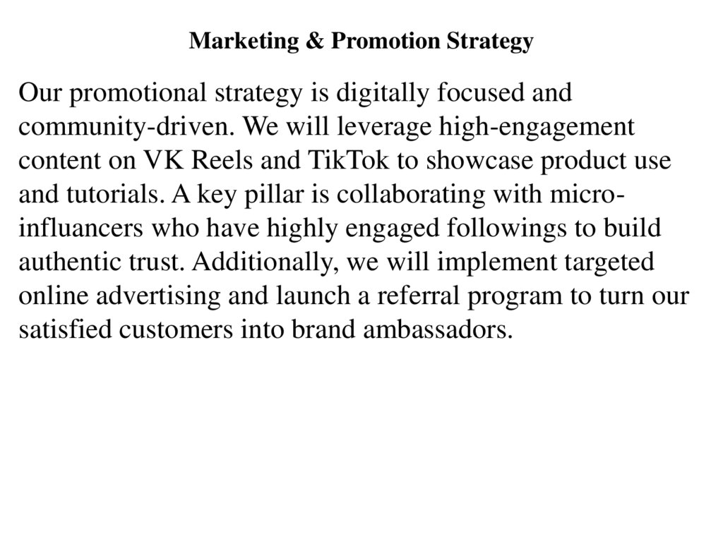 Marketing & Promotion Strategy