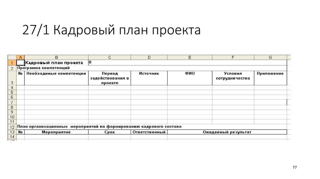 27/1 Кадровый план проекта