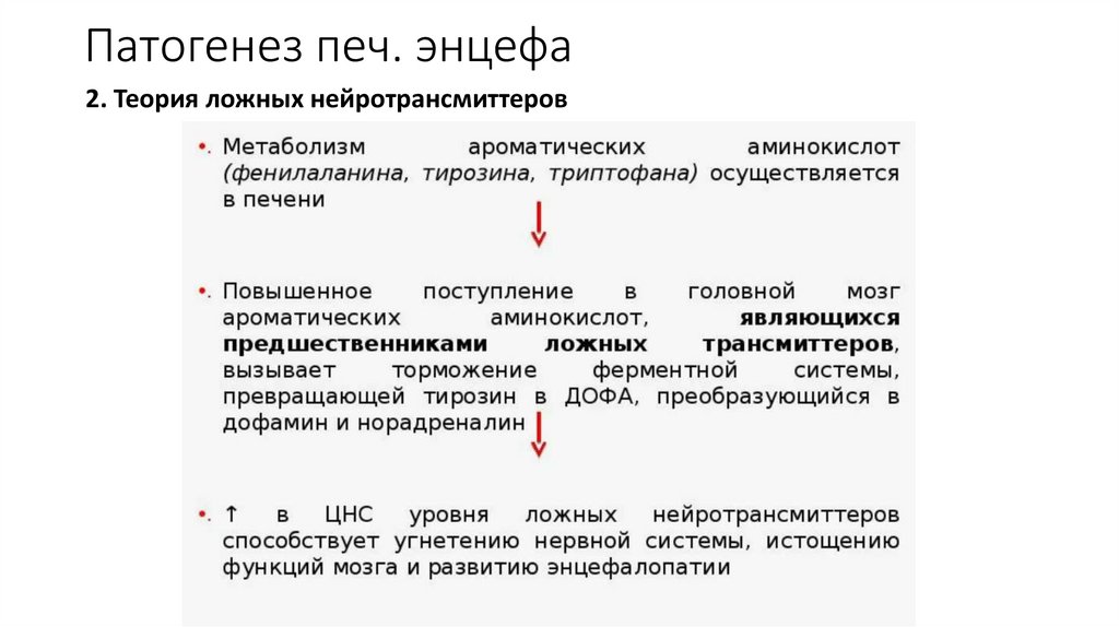 Патогенез печ. энцефа