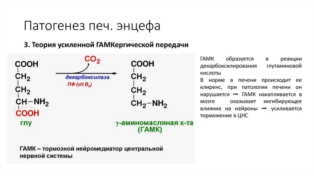 Патогенез печ. энцефа