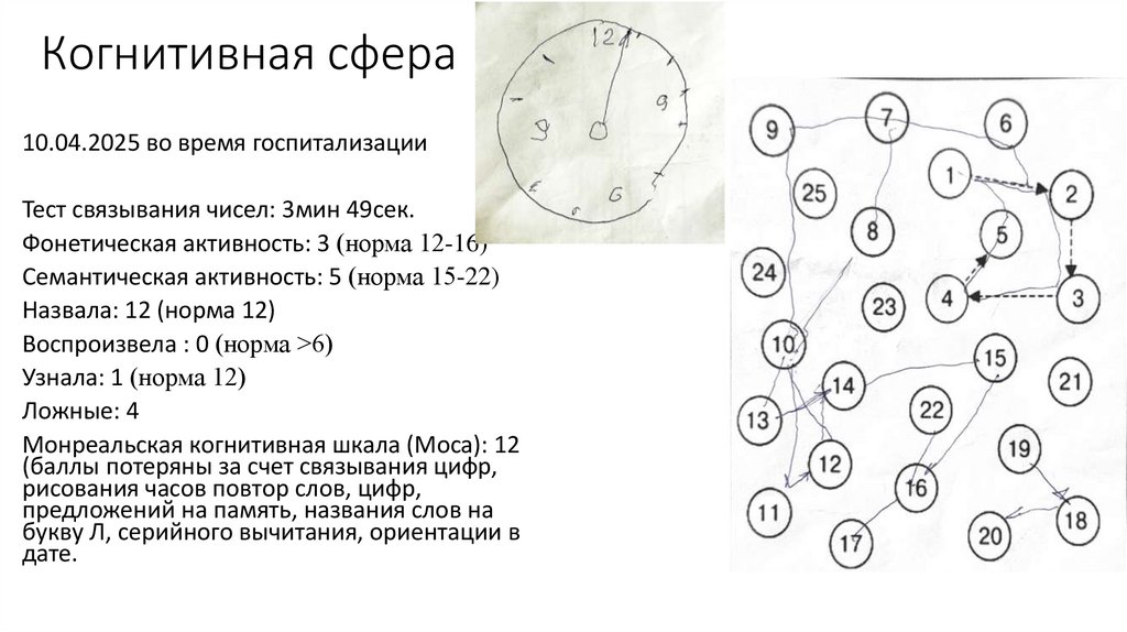 Когнитивная сфера