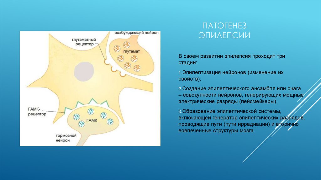 Патогенез эпилепсии
