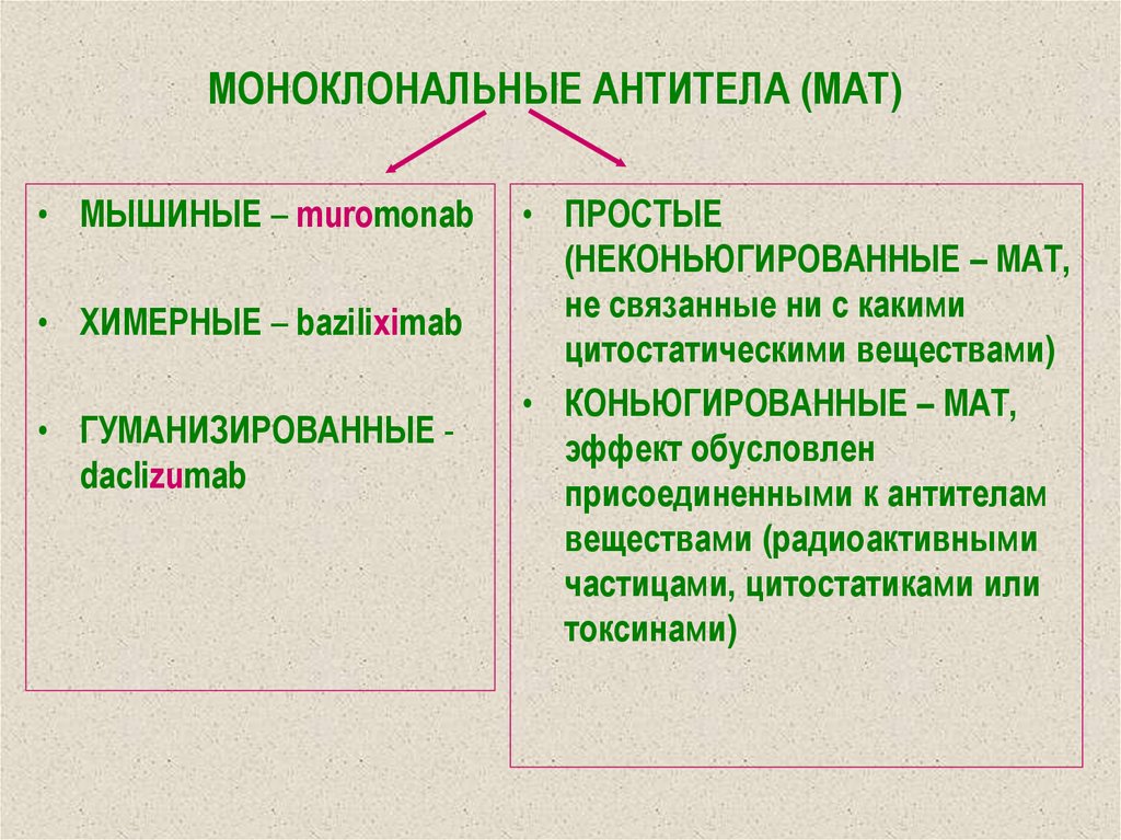 МОНОКЛОНАЛЬНЫЕ АНТИТЕЛА (МАТ)