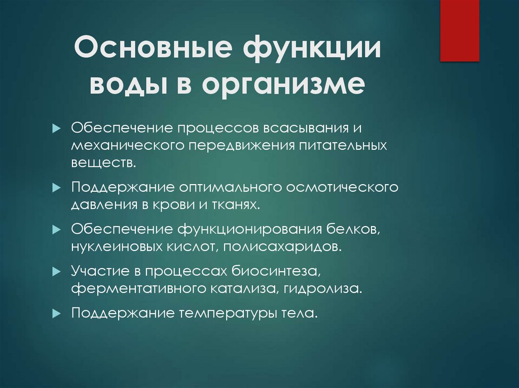Основные функции воды в организме